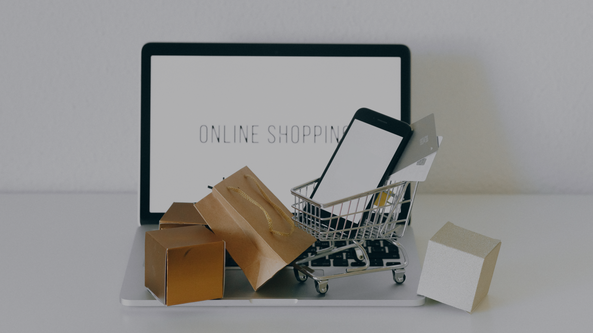 Recuperare profitti con il commercio online