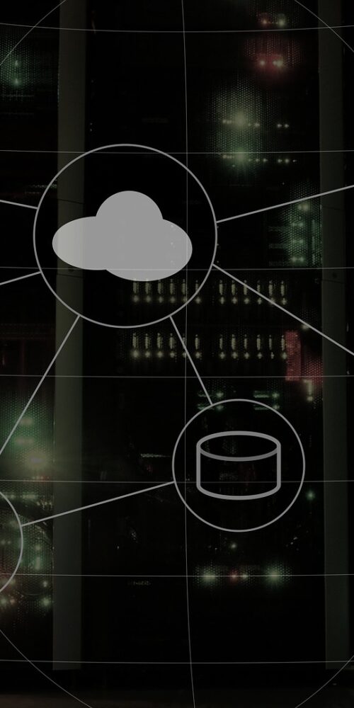 gestionale ERP cloud