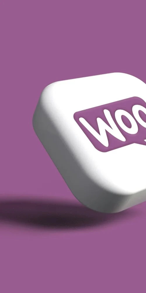 Gestionale per WooCommerce: integrazione tra WooCommerce e Starty ERP